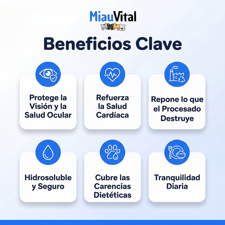 Evita una deficiencia silenciosa antes de que aparezcan los síntomas con el suplemento de taurina MiauVital™